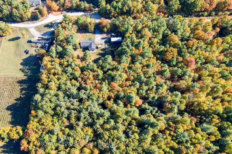 29379152/2819-lanark-8c-concession/lanark-highlands-lanark-twp/lanark-highlands/ontario/K0A1P0_32