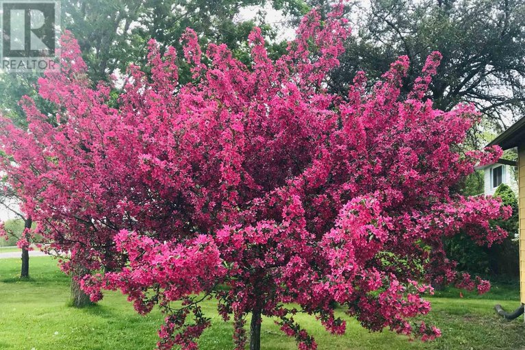 29584602/3976-carp-road/carp/ottawa/ontario/K0A1L0_41