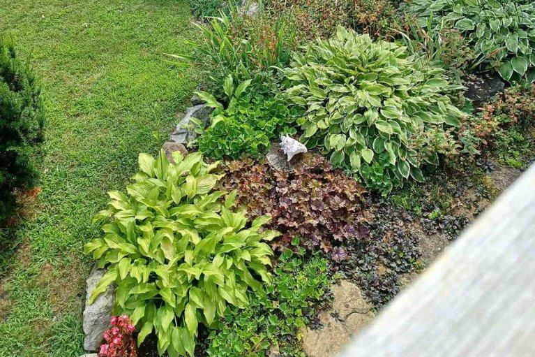 29232930/15-jones-court/augusta-twp/augusta/ontario/K0E1P0_45