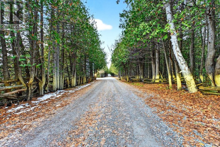 29109623/551-richmond-road/beckwith-twp/beckwith/ontario/K0A1B0_47