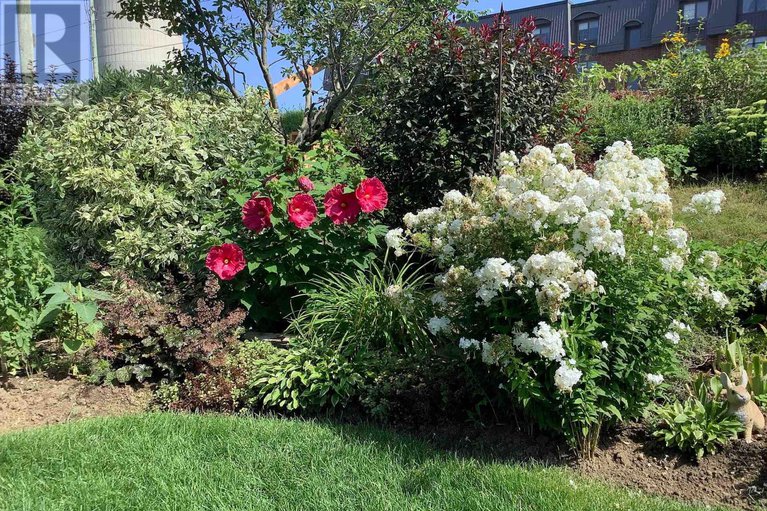 29377762/59-johanna-street/almonte/mississippi-mills/ontario/K0A1A0_34