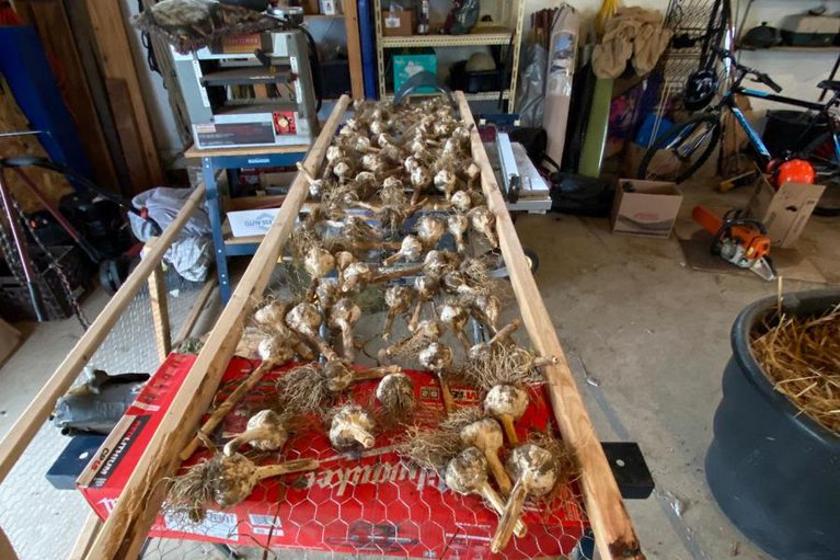 29026096/947-townline-road-n/north-grenville-twp-kemptville-east/north-grenville/ontario/K0G1J0_38