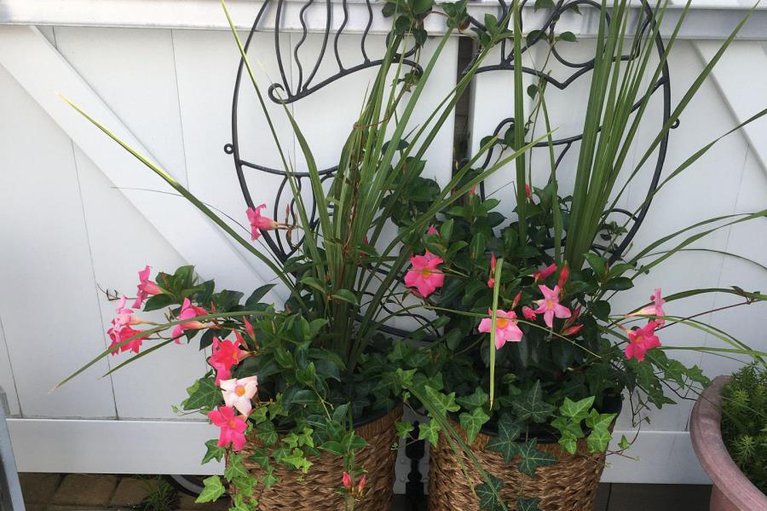 29361379/ph4-158a-mcarthur-avenue/vanier/ottawa/ontario/K1L7E7_30