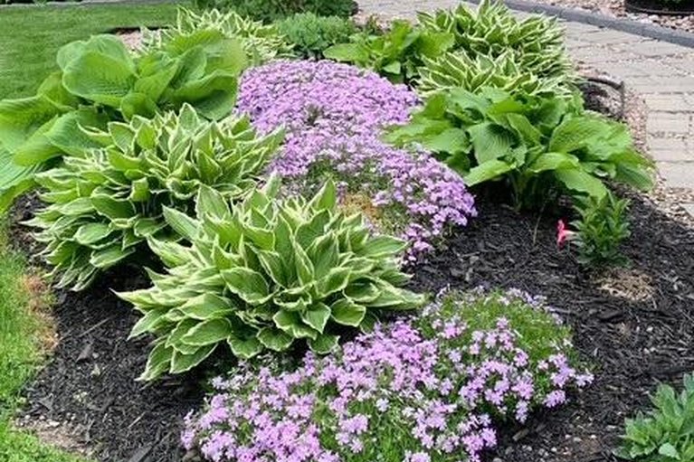 29666144/45-burnstead-crescent/emerald-meadowstrailwest/ottawa/ontario/K2M2T4_50