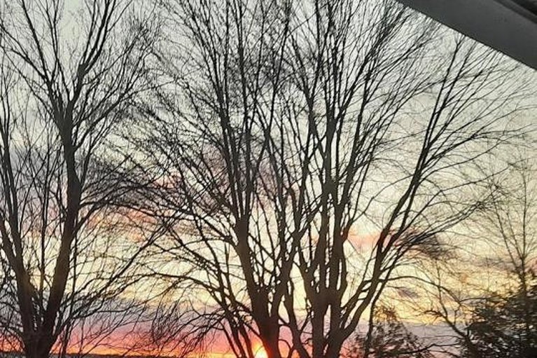 29412662/115-cookes-shore-road/drummond-n-elmsley-drummond-twp/drummondnorth-elmsley/ontario/K7C4K7_41