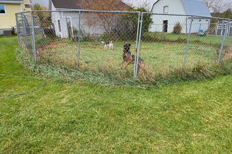 29026096/947-townline-road-n/north-grenville-twp-kemptville-east/north-grenville/ontario/K0G1J0_37