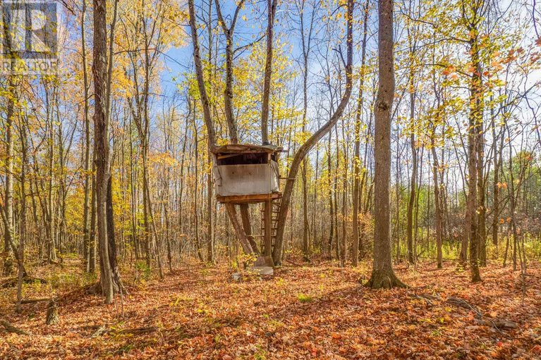 28793859/18668-concession-2-road/north-glengarry-kenyon-twp/north-glengarry/ontario/K0C1B0_38