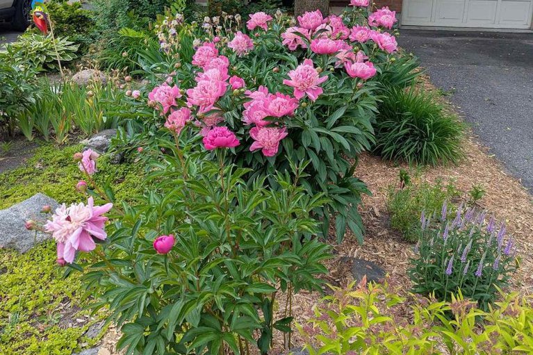 29366238/4298-sunwood-crescent/carson-grove/ottawa/ontario/K1J1B8_33