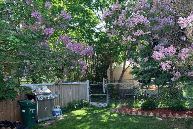 29253974/39-1140-forets-avenue/convent-glen-north/ottawa/ontario/K1C5K7_35