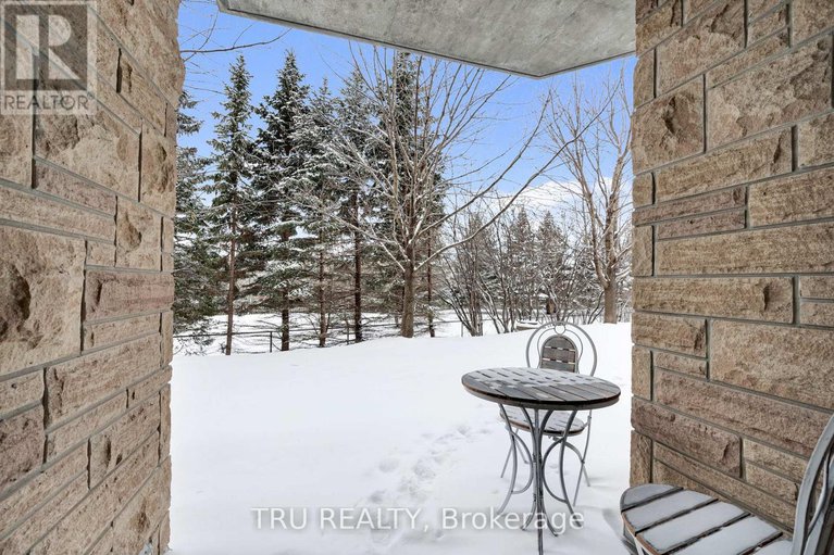 29302408/104-314-central-park-drive/central-park/ottawa/ontario/K2C0R2_25