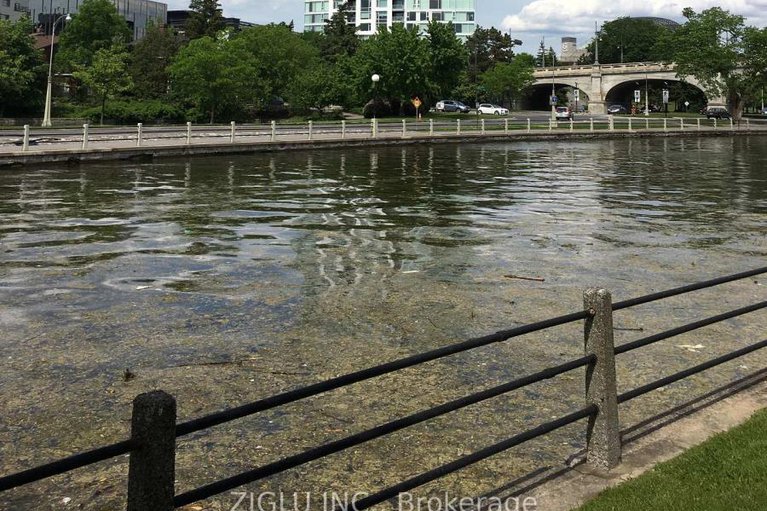 29442141/1005-1035-bank-street/glebe/ottawa/ontario/K1S5K3_7