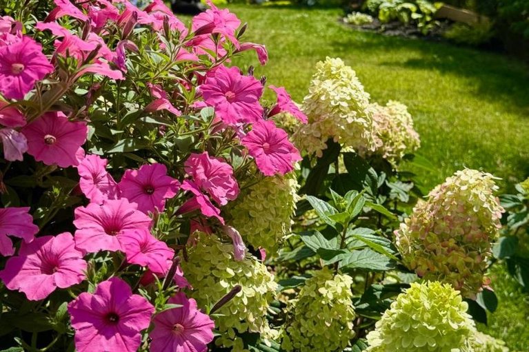 29613138/107-owen-street/lanark-highlands-lanark-village/lanark-highlands/ontario/K0G1K0_35