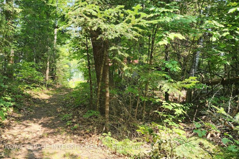 28709276/356-bow-lake-lane/lanark-highlands-lanark-twp/lanark-highlands/ontario/K0G1K0_17