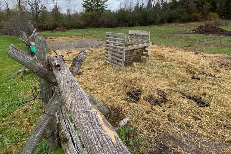 29026096/947-townline-road-n/north-grenville-twp-kemptville-east/north-grenville/ontario/K0G1J0_36