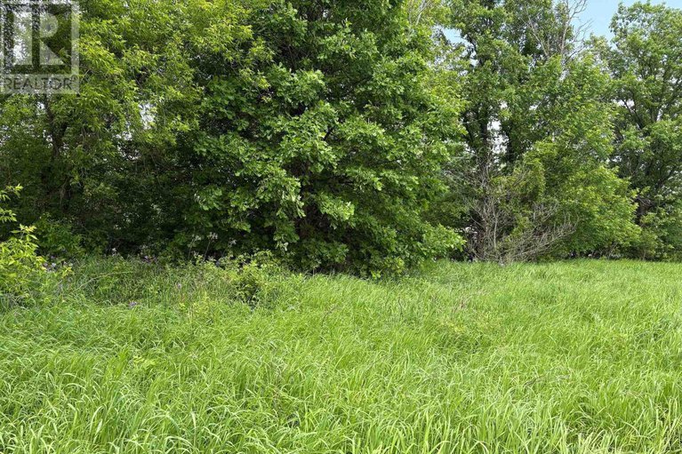 28485151/161-old-pakenham-road/fitzroy/ottawa/ontario/K0A1X0_4