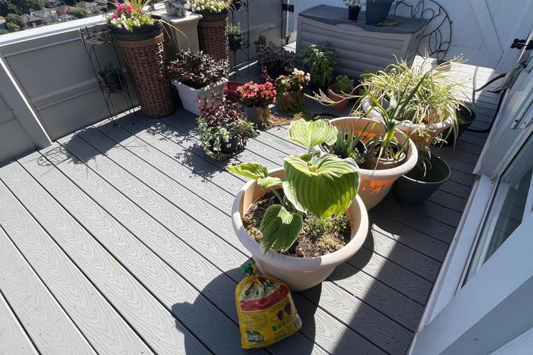 29361379/ph4-158a-mcarthur-avenue/vanier/ottawa/ontario/K1L7E7_40