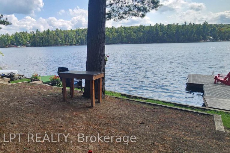 28910386/385-porcupine-way/lanark-highlands-dalhousie-twp/lanark-highlands/ontario/K0G1M0_8