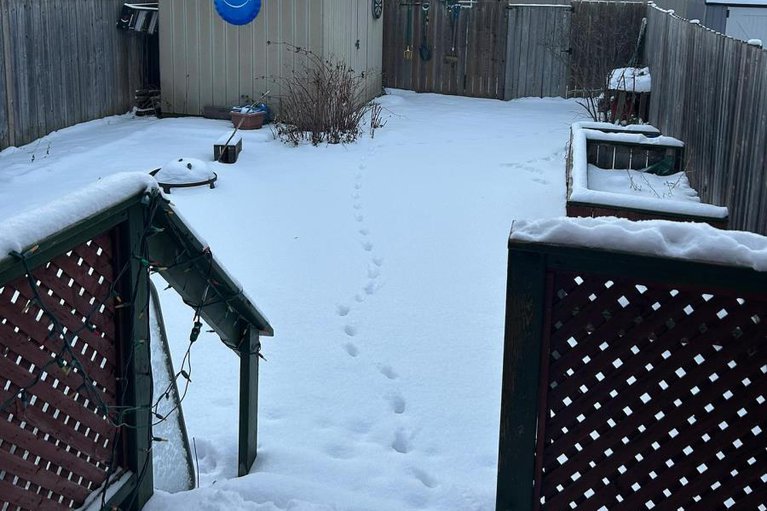 29178453/642-borthwick-avenue/castle-heightsrideau-high/ottawa/ontario/K1K2L9_3