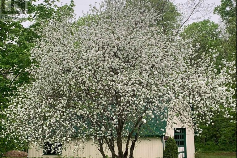 29059249/3066-goldfield-road/north-stormont-finch-twp/north-stormont/ontario/K0C1K0_44