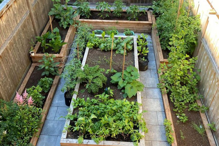 29140235/327-st-andrew-street/lower-town/ottawa/ontario/K1N5G9_43