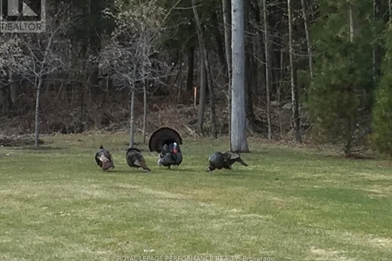 29555218/26-jacquot-street-n/champlain-twp/champlain/ontario/K0B1K0_44