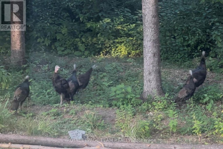 29386109/941-corkery-road/huntley-ward-south-west/ottawa/ontario/K0A1L0_45