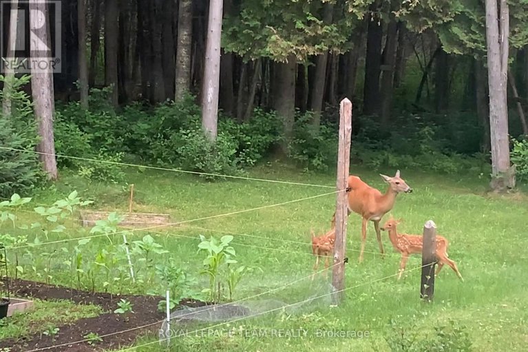 29386109/941-corkery-road/huntley-ward-south-west/ottawa/ontario/K0A1L0_44