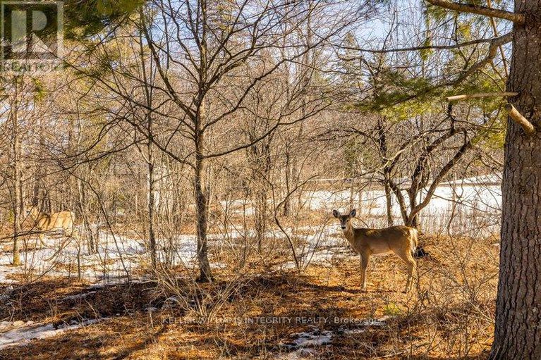 28351140/3052-stoneridge-road/dunrobin-shores/ottawa/ontario/K0A1T0_43
