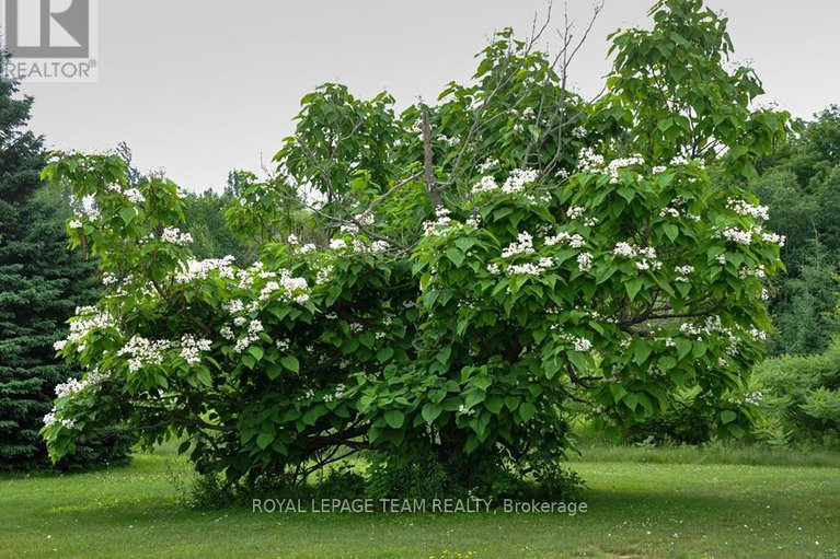 29397822/910-bolton-road/north-grenville-twp-kemptville-south/north-grenville/ontario/K0G1N0_46