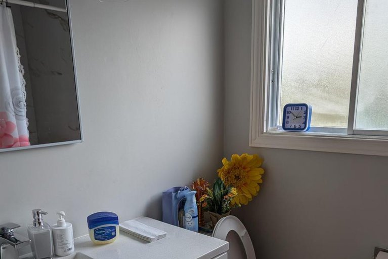 29018995/393-donald-street/overbrookcastle-heights/ottawa/ontario/K1K1M2_11