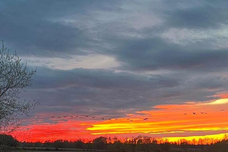 29031887/310-moisson-street/embrun/russell/ontario/K0A1W0_43