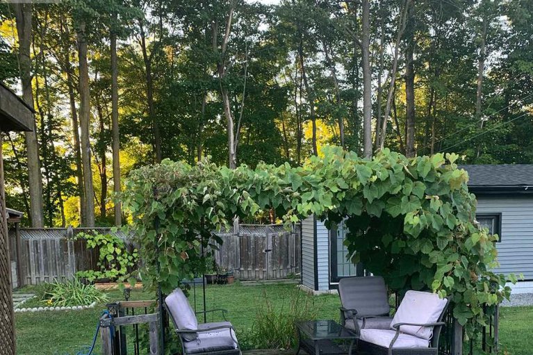 29262354/175-dunlop-crescent/village-of-russell/russell/ontario/K4R1B3_37