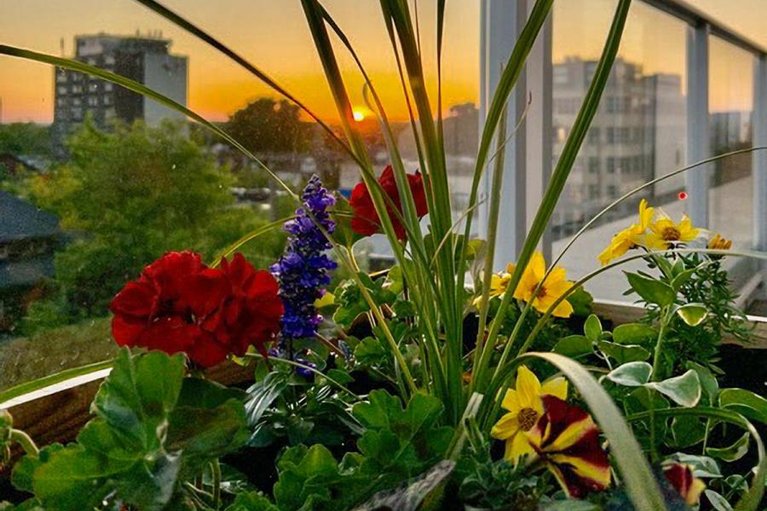 29613145/503-131-holland-avenue/ottawa-west/ottawa/ontario/K1Y3A2_29