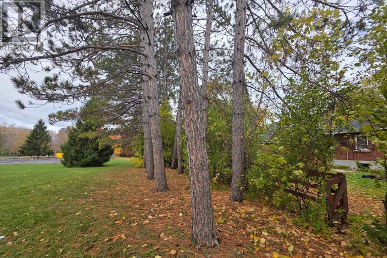 29080691/262-dale-avenue/riverview-park/ottawa/ontario/K1G0H5_20