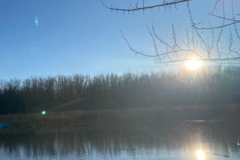 29480320/164-baillie-avenue/constance-bay/ottawa/ontario/K0A3M0_36