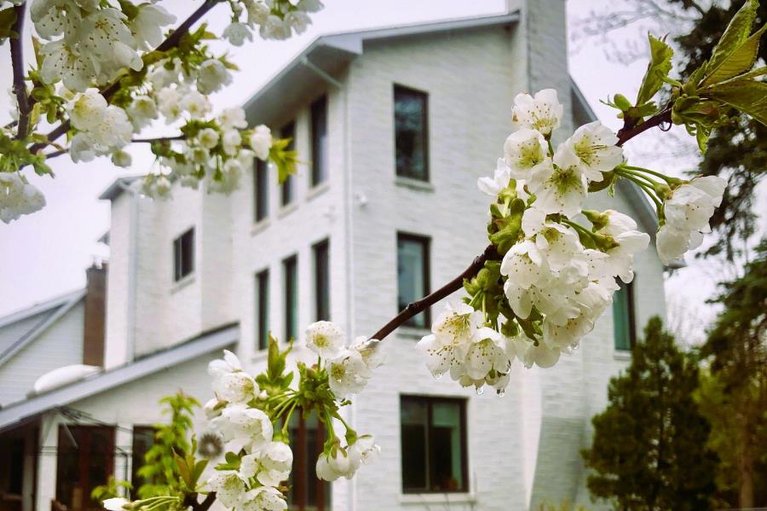 29455179/60-pontiac-street/ottawa-westtunneys-pasture/ottawa/ontario/K1Y2K1_27