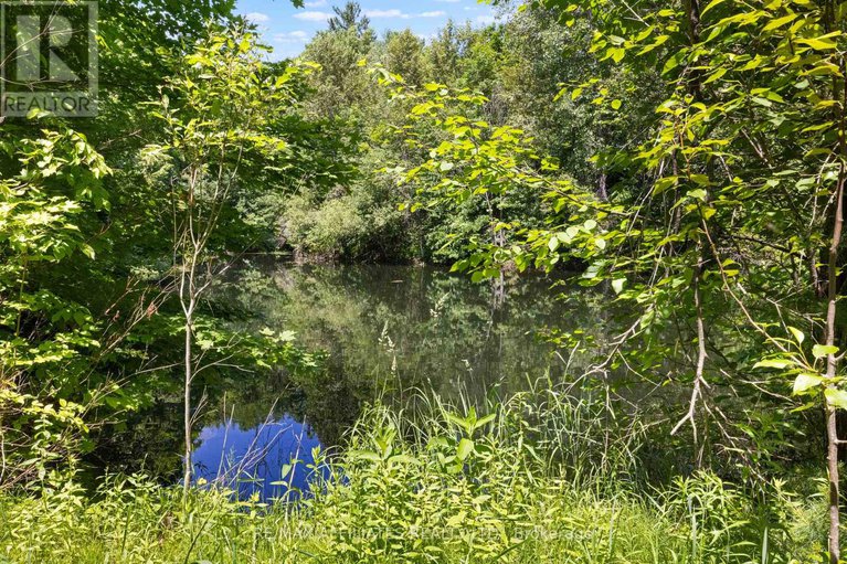 29023925/1655-old-perth-road/mississippi-mills-ramsay-twp/mississippi-mills/ontario/K0A1A0_6