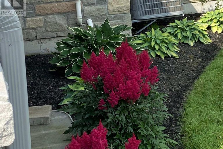 29355024/18150-st-laurent-boulevard/south-glengarry-charlottenburgh-twp/south-glengarry/ontario/K6H0G7_34