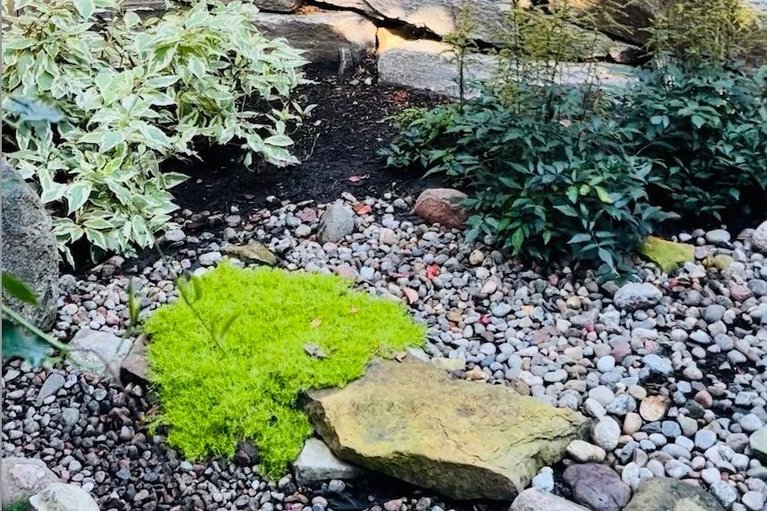 29590354/279-currell-avenue/westborohampton-park/ottawa/ontario/K1Z7J5_27