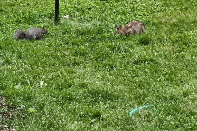 29660309/5-meikle-drive/augusta-twp/augusta/ontario/K0E1P0_41