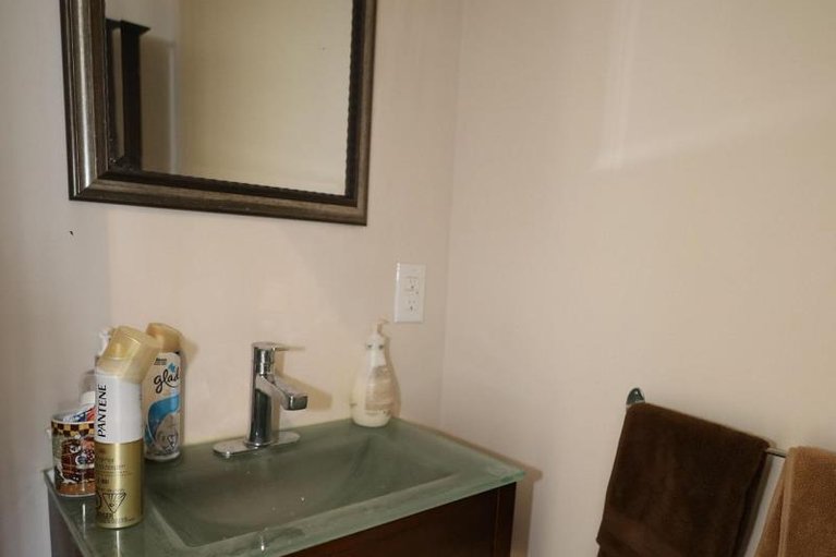 29451027/2194-niagara-drive/applewood-acres/ottawa/ontario/K1H6L2_13