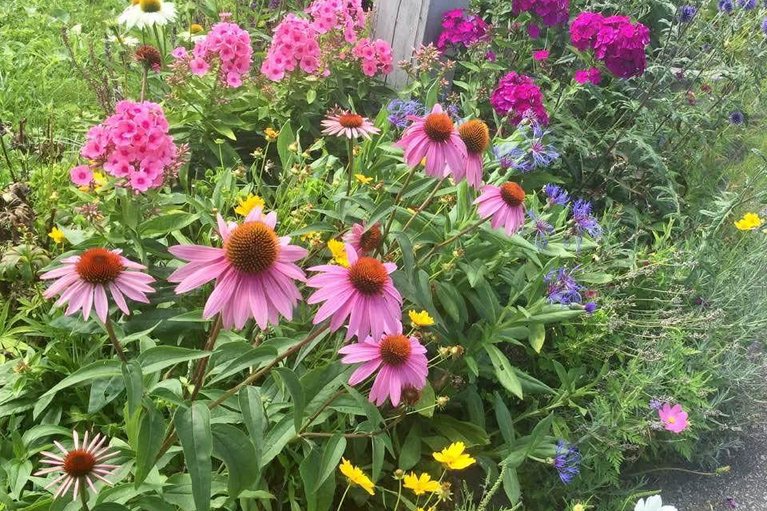 29221830/507-clothier-street-e/kemptville/north-grenville/ontario/K0G1J0_25