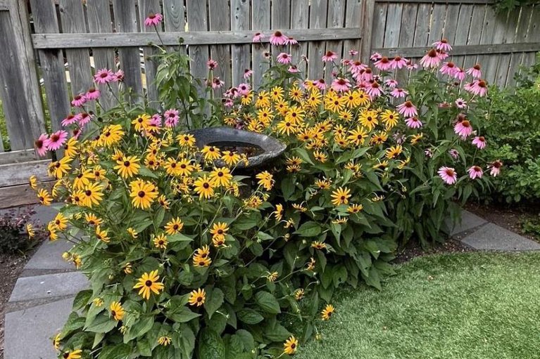 29081850/29-maxton-private/beacon-hill-south/ottawa/ontario/K1J1J1_28