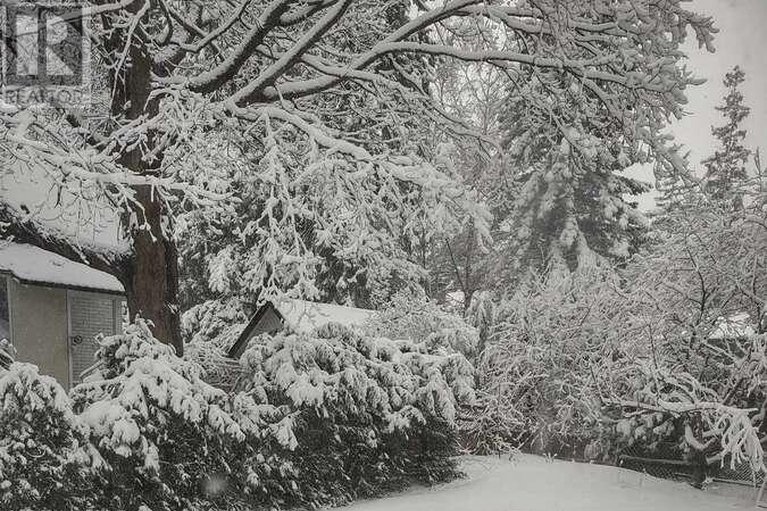 29482302/60-mariposa-avenue/rockcliffe/ottawa/ontario/K1M0V1_3