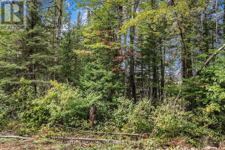 28095338/l1415-triple-tower-road/lanark-highlands-lavant-twp/lanark-highlands/ontario/K0G1K0_40