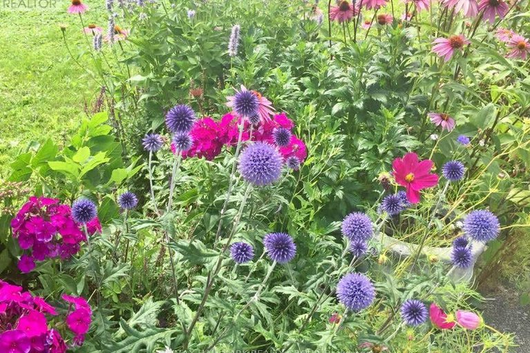 29221830/507-clothier-street-e/kemptville/north-grenville/ontario/K0G1J0_24