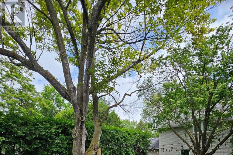 28675680/1-erinlea-court/pineglencountry-place/ottawa/ontario/K2E7C8_9