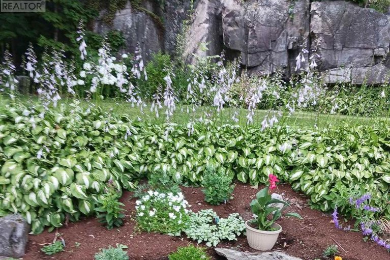 29657921/10-oak-crescent/brockville/brockville/ontario/K6V5R6_36