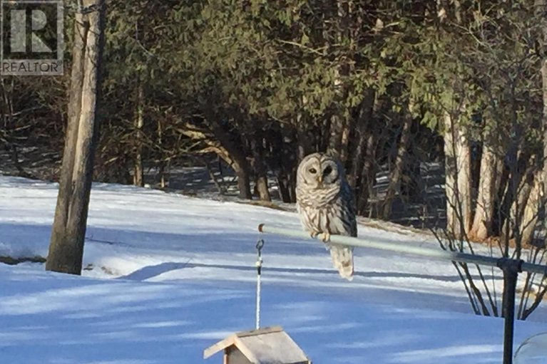 29591546/4637-northwoods-drive/constance-bay/ottawa/ontario/K0A3M0_50