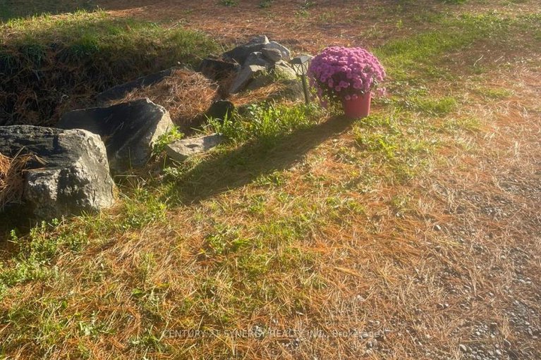 29056398/756-bellamy-mills-road/mississippi-mills-ramsay-twp/mississippi-mills/ontario/K0A1A0_39